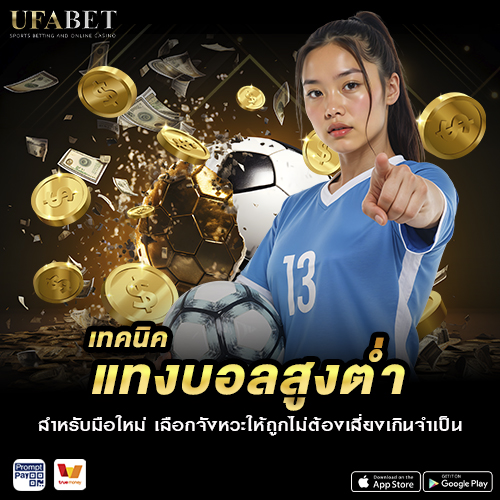 เทคนิค แทงบอลสูงต่ำ สำหรับมือใหม่